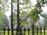 Parc Leopold