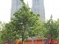 St Goedele Kathedraal