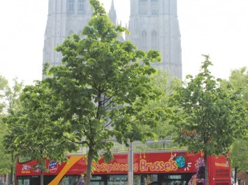 St Goedele Kathedraal